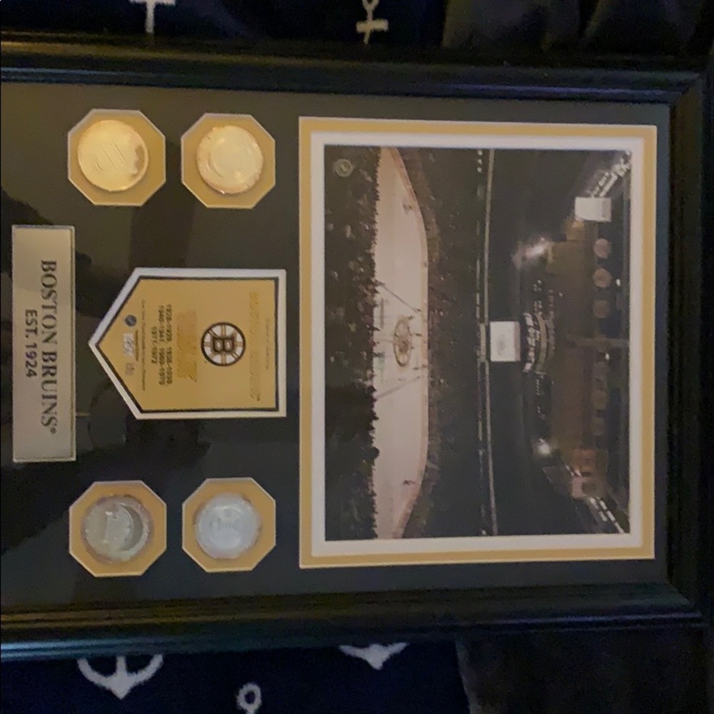 Boston Bruins picture